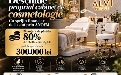 Acordarea subvenției pentru inițierea unei afaceri