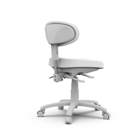 Scaun MASTER 8C01
