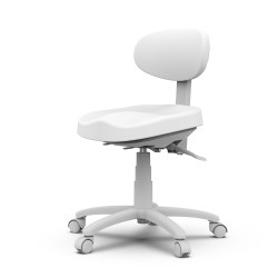 Scaun MASTER 8C01