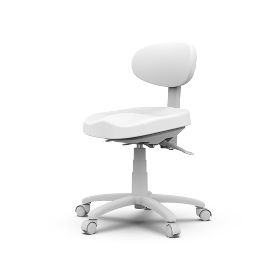 Scaun MASTER 8C01