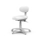 Scaun MASTER 8C01