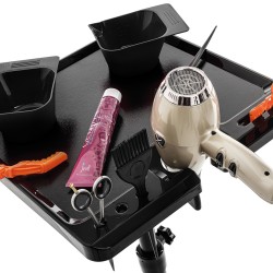 Ucenic coloristica MAGNETICO Ucenic coloristica MAGNETICO